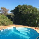 Pura Vida Foto 23